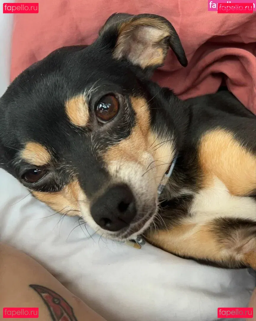 Suki Jade Onlyfans Photo Gallery 