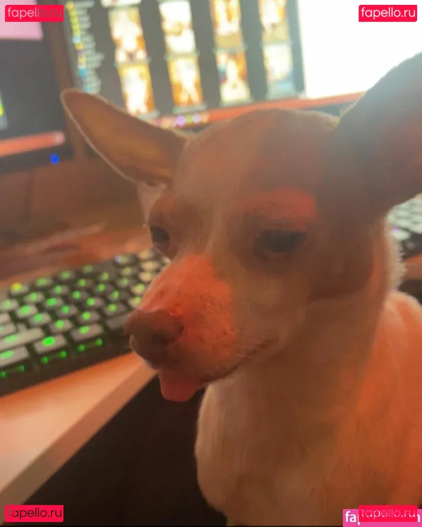 Suki Jade Onlyfans Photo Gallery 