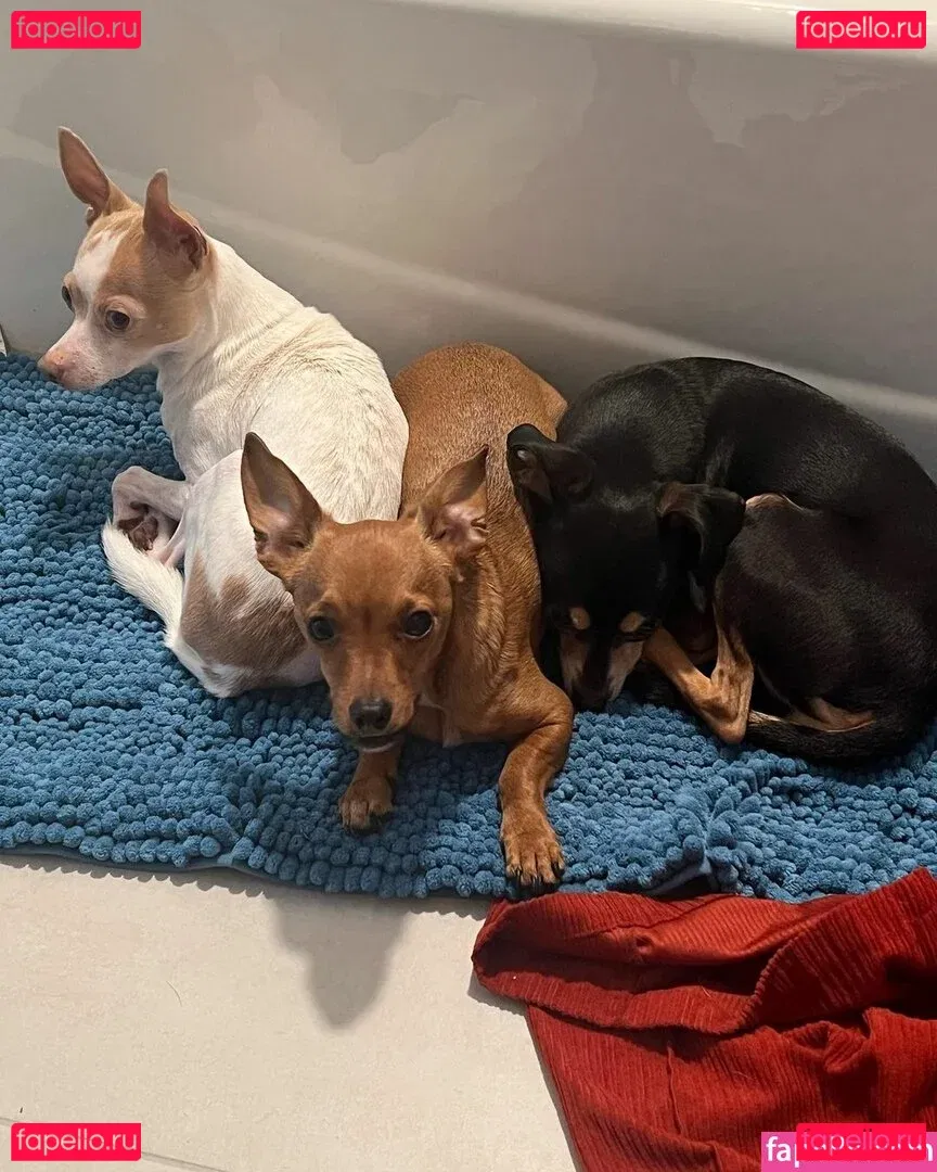 Suki Jade Onlyfans Photo Gallery 