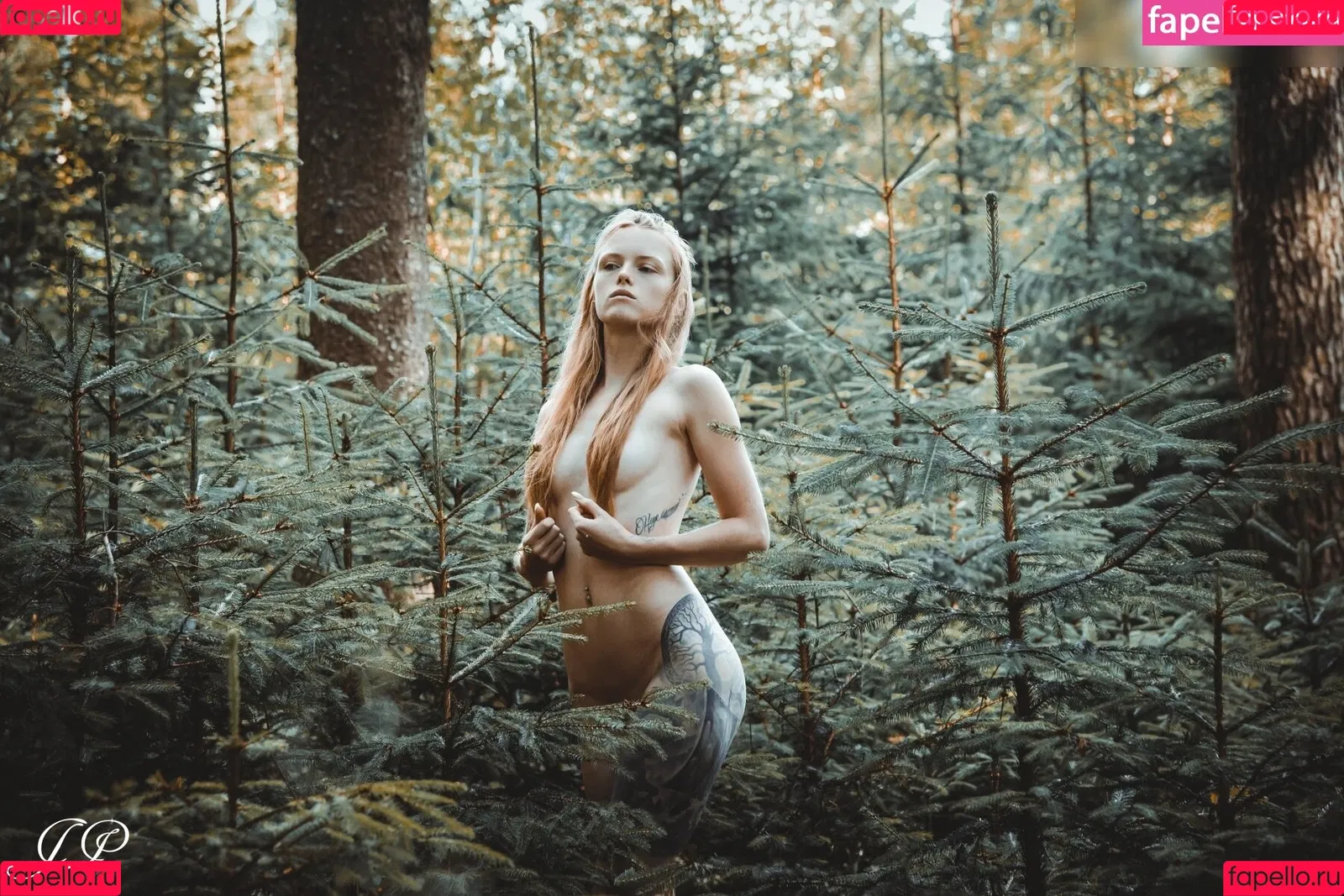 MarryD official Onlyfans Photo Gallery 