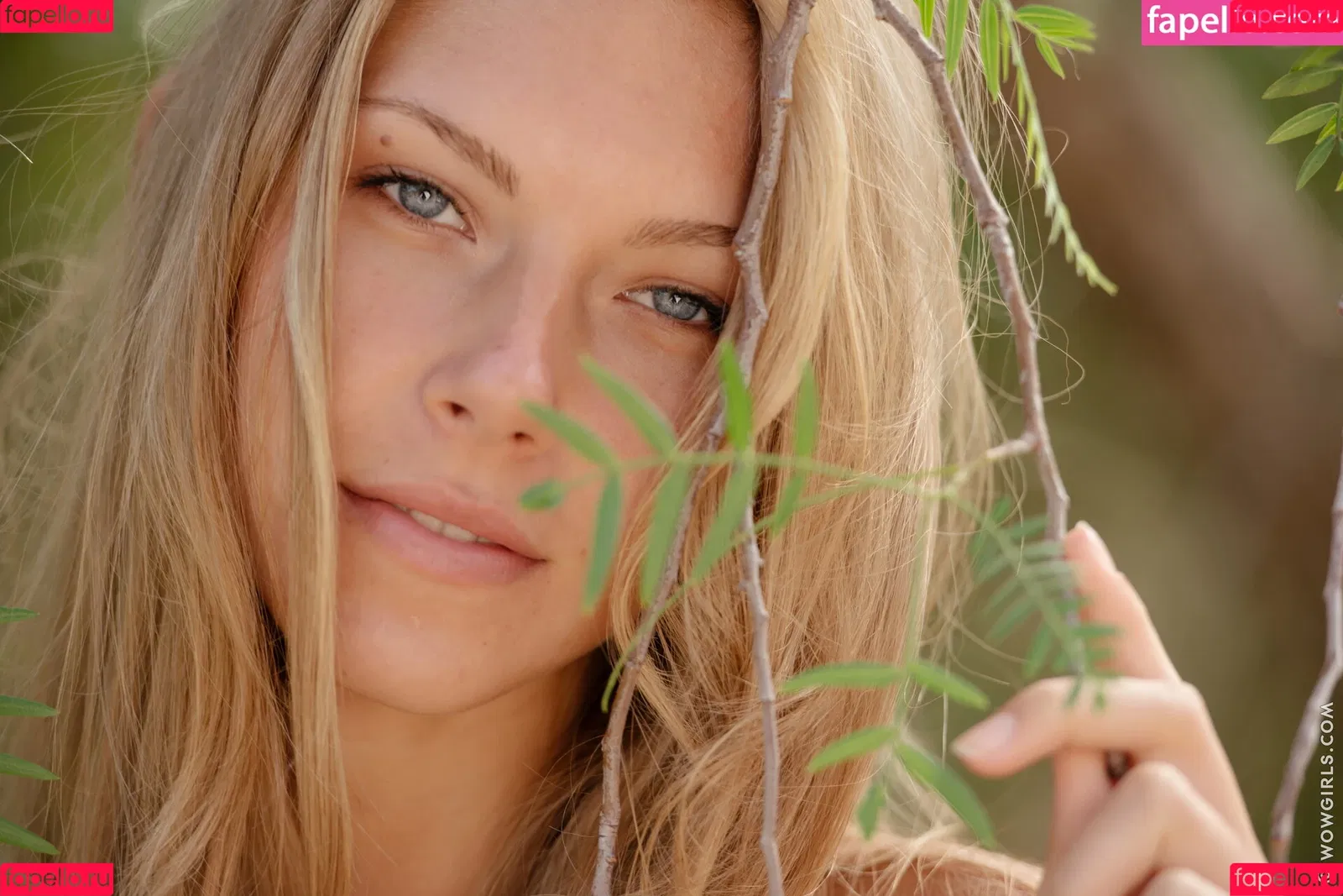 Krystal Boyd Onlyfans Photo Gallery 
