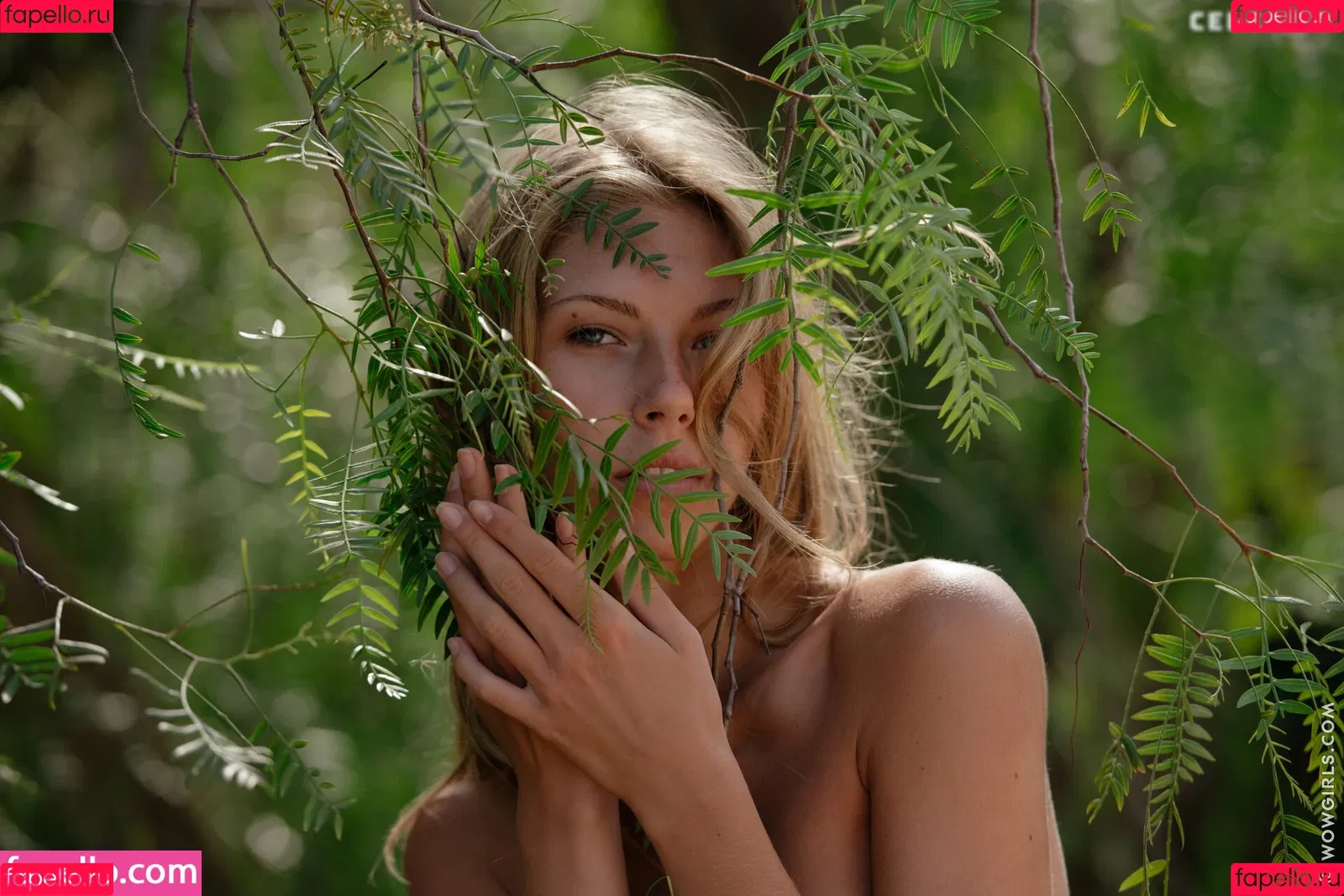 Krystal Boyd Onlyfans Photo Gallery 