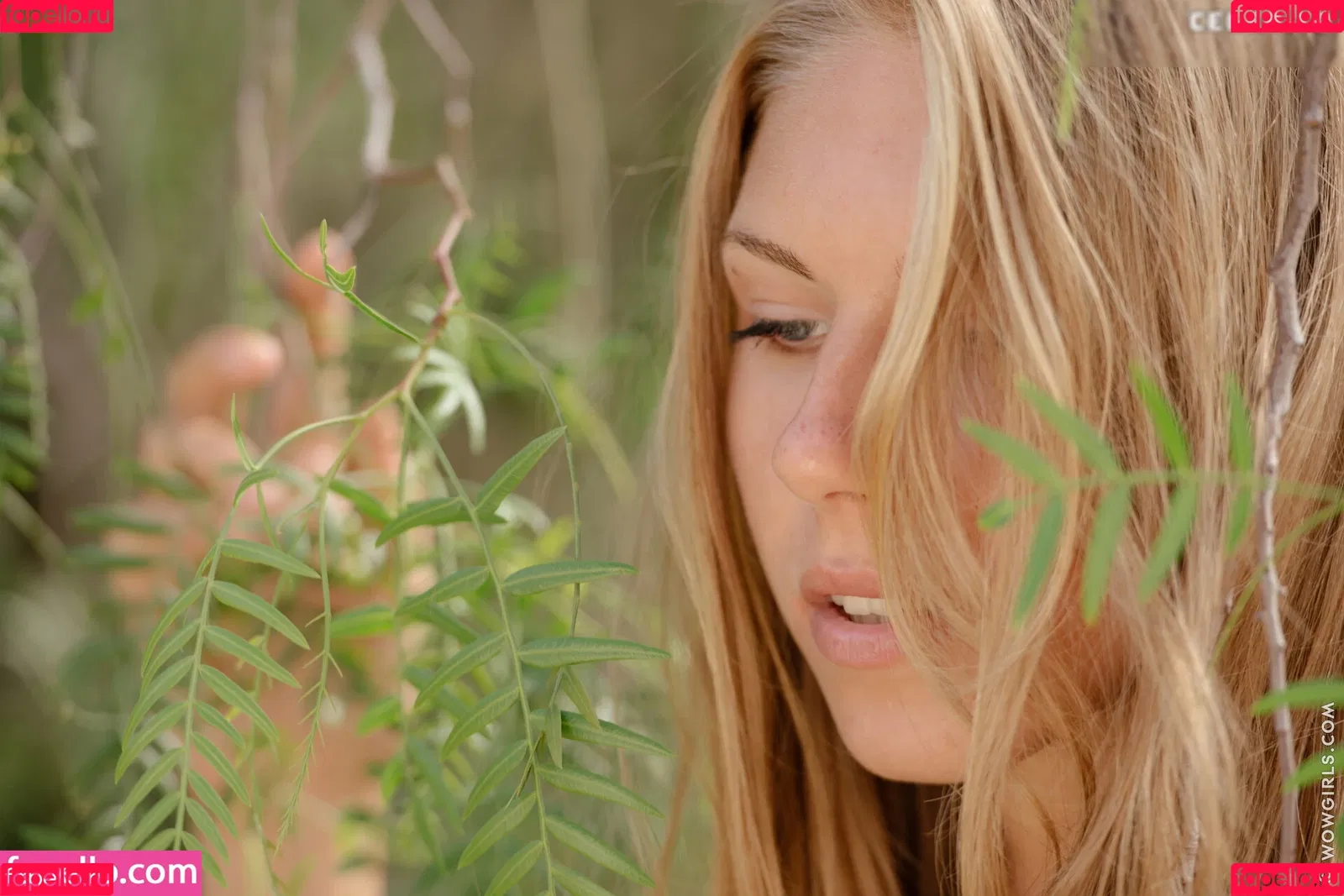 Krystal Boyd Onlyfans Photo Gallery 