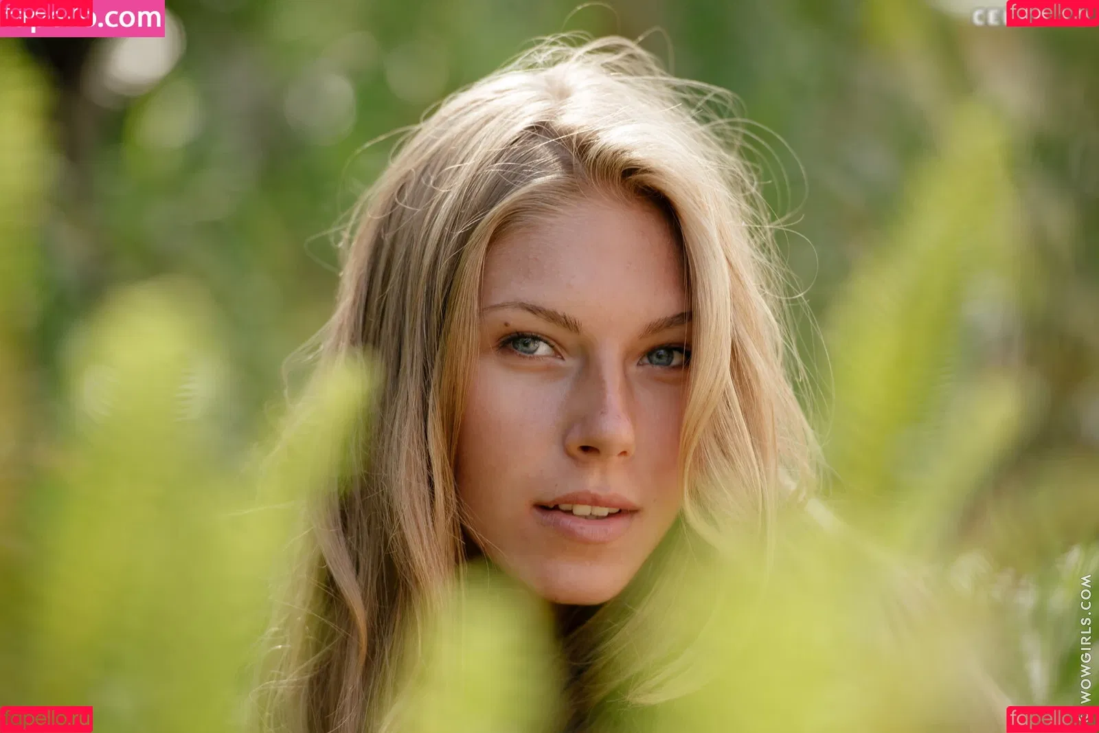 Krystal Boyd Onlyfans Photo Gallery 