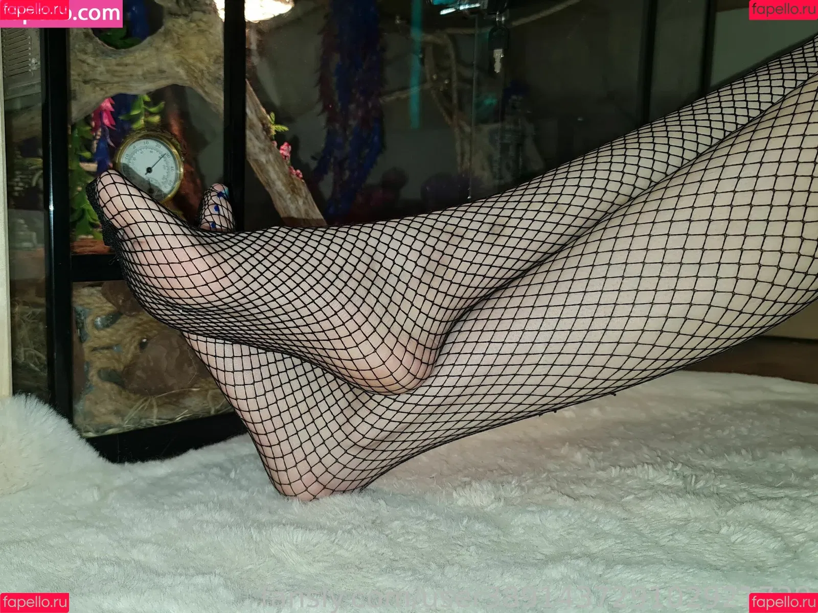 unicornsfeet Onlyfans Photo Gallery 