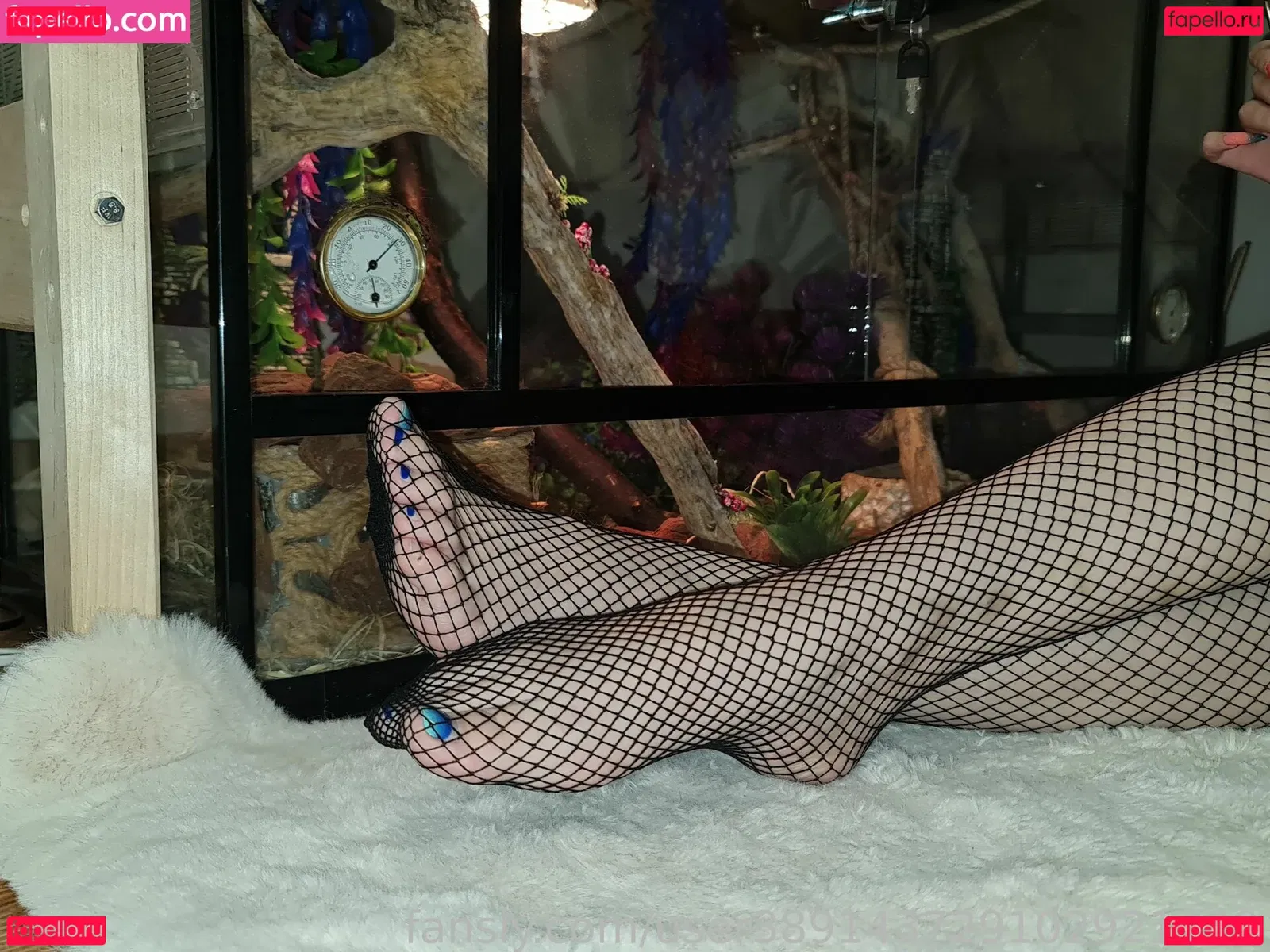 unicornsfeet Onlyfans Photo Gallery 