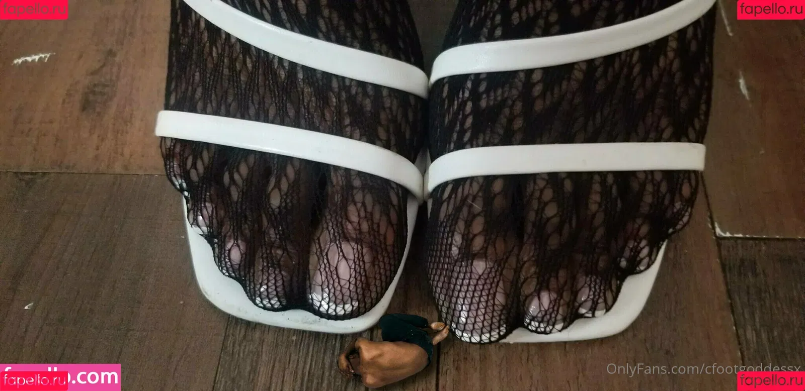 cfootgoddessx Onlyfans Photo Gallery 