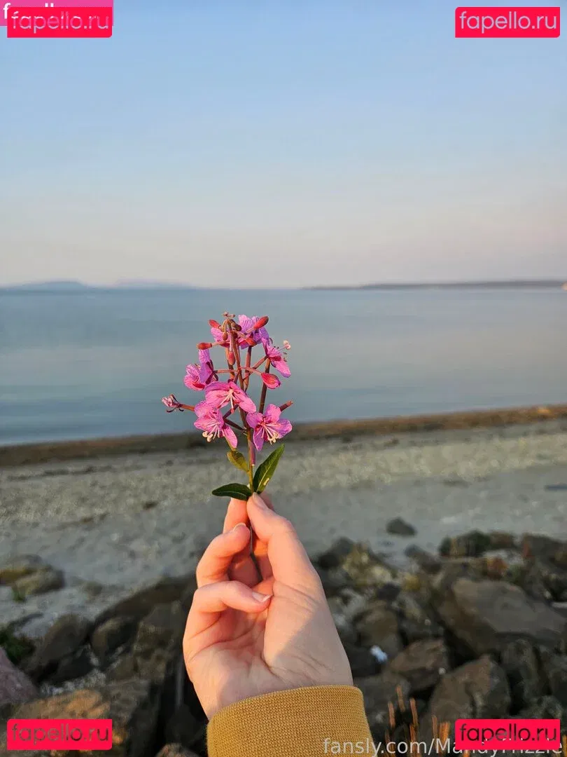 mandyfrizzle Onlyfans Photo Gallery 