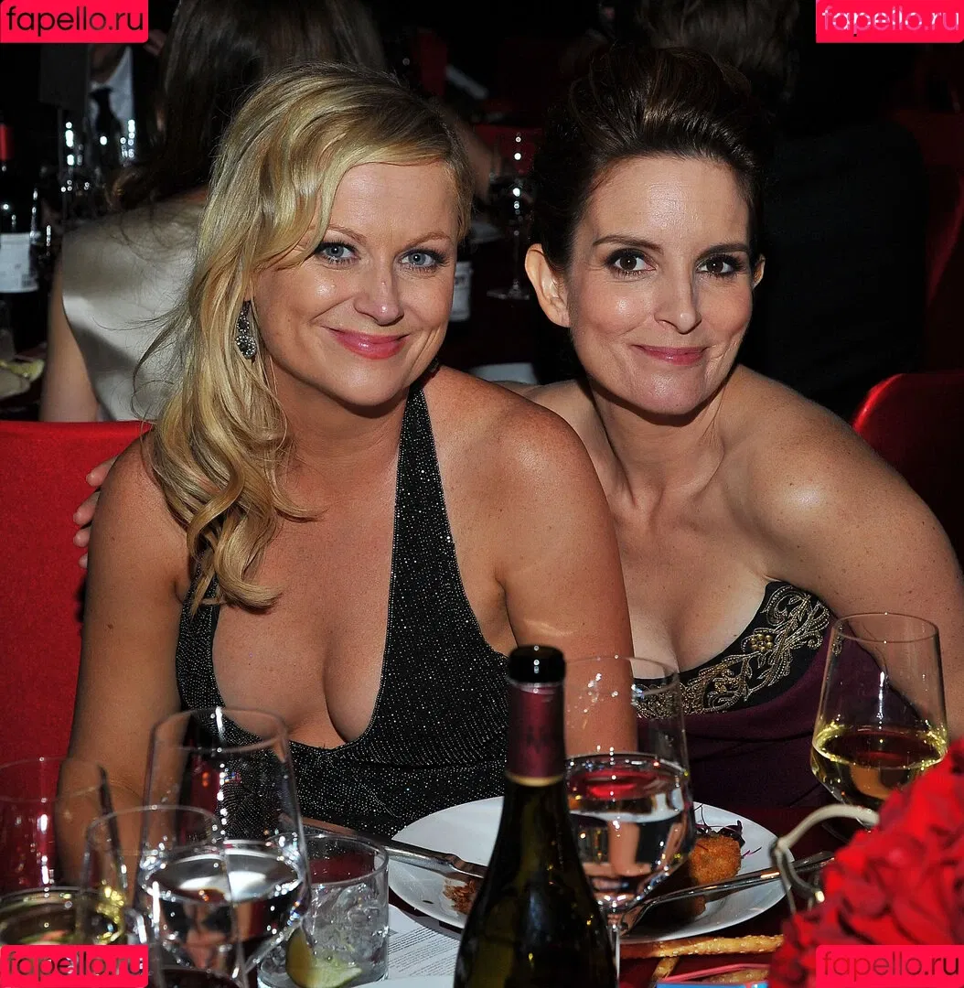 Amy Poehler Onlyfans Photo Gallery 