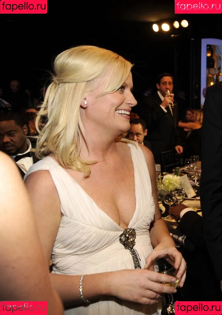 Amy Poehler Onlyfans Photo Gallery 
