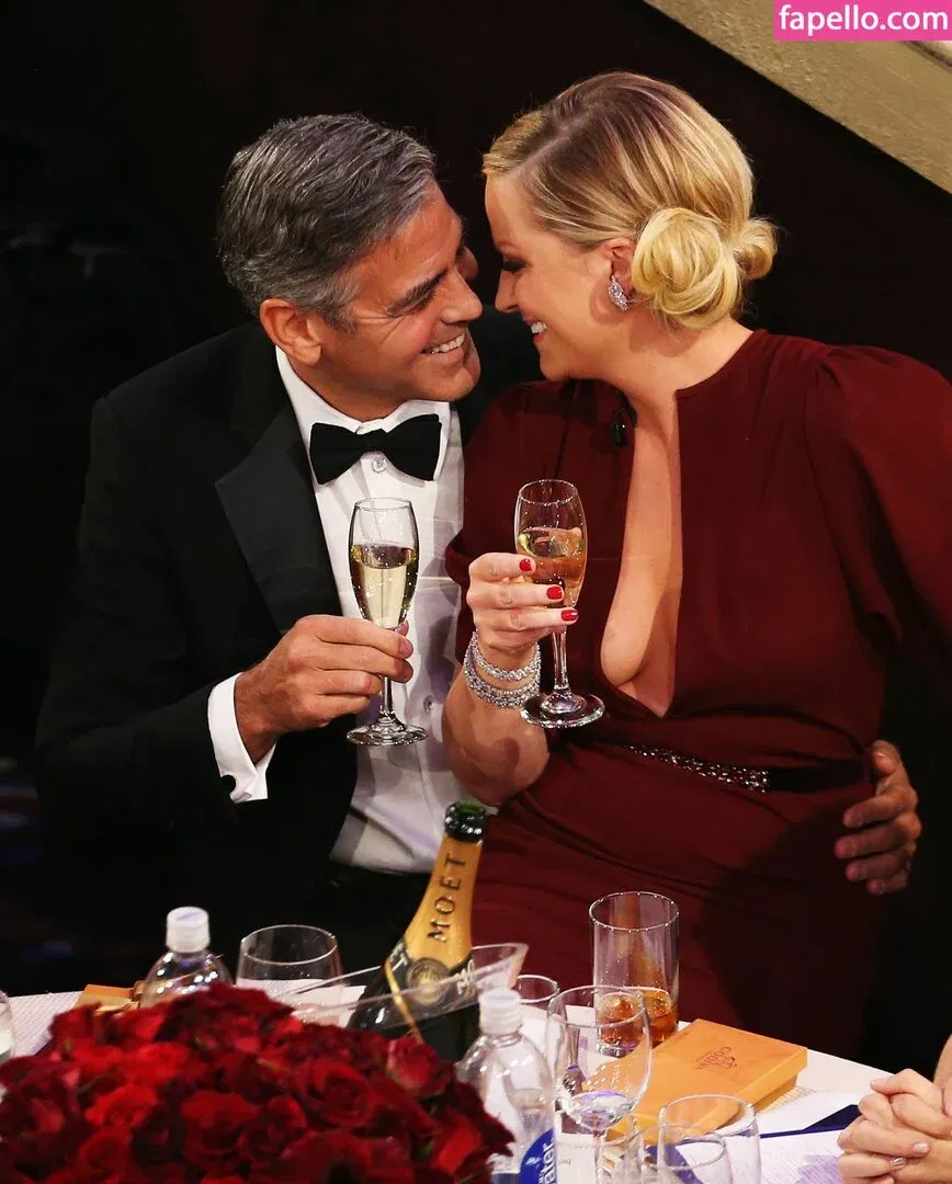 Amy Poehler Onlyfans Photo Gallery 