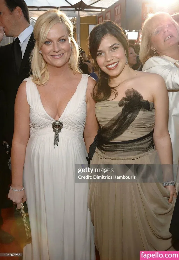 Amy Poehler Onlyfans Photo Gallery 