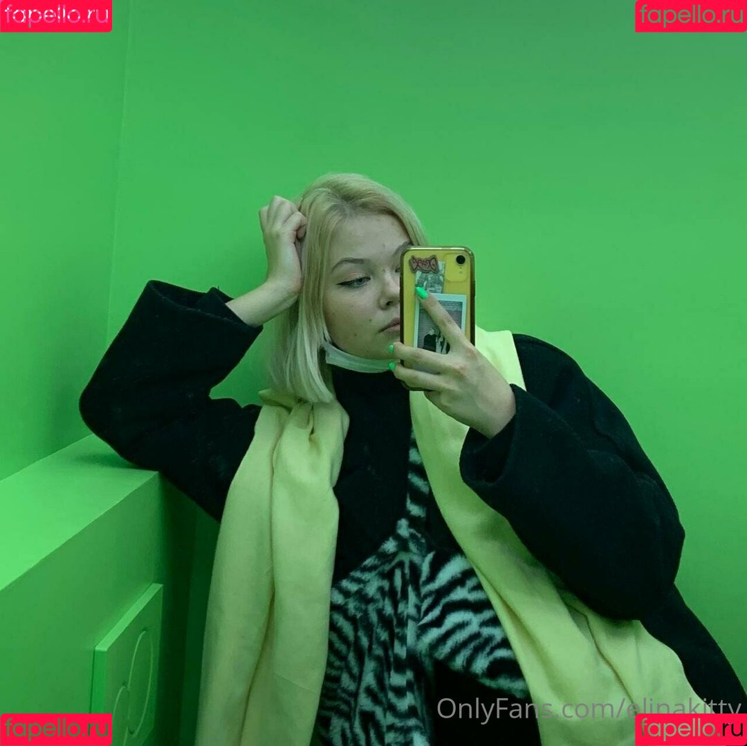 elinakitty Onlyfans Photo Gallery 
