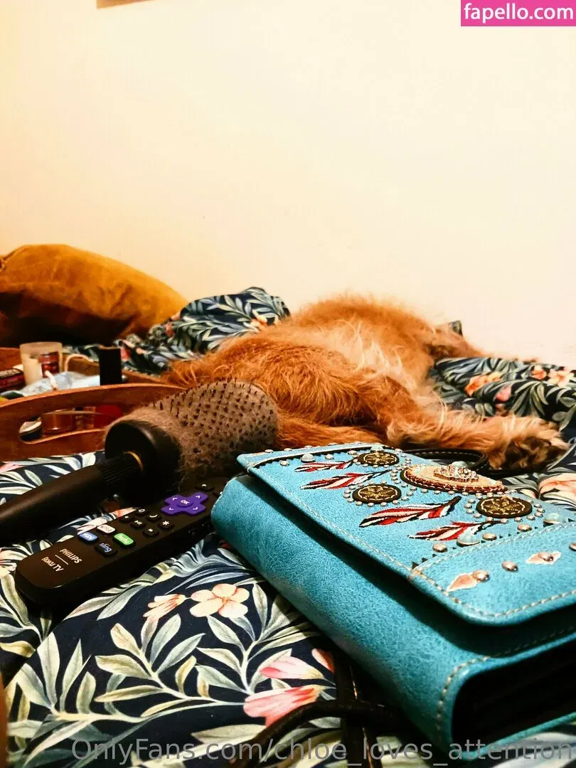 chloe_loves_attention Onlyfans Photo Gallery 