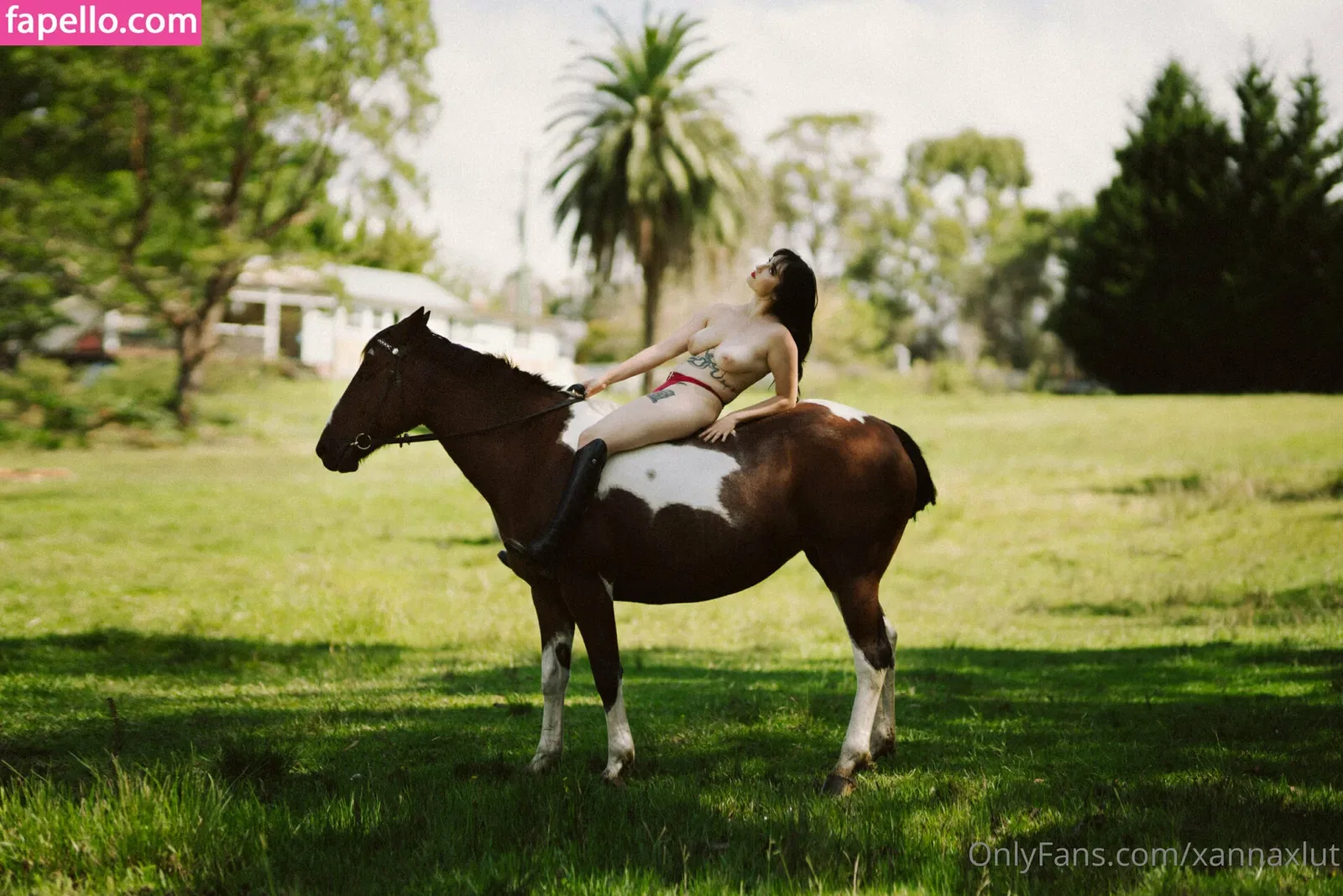 xannaxlut Onlyfans Photo Gallery 