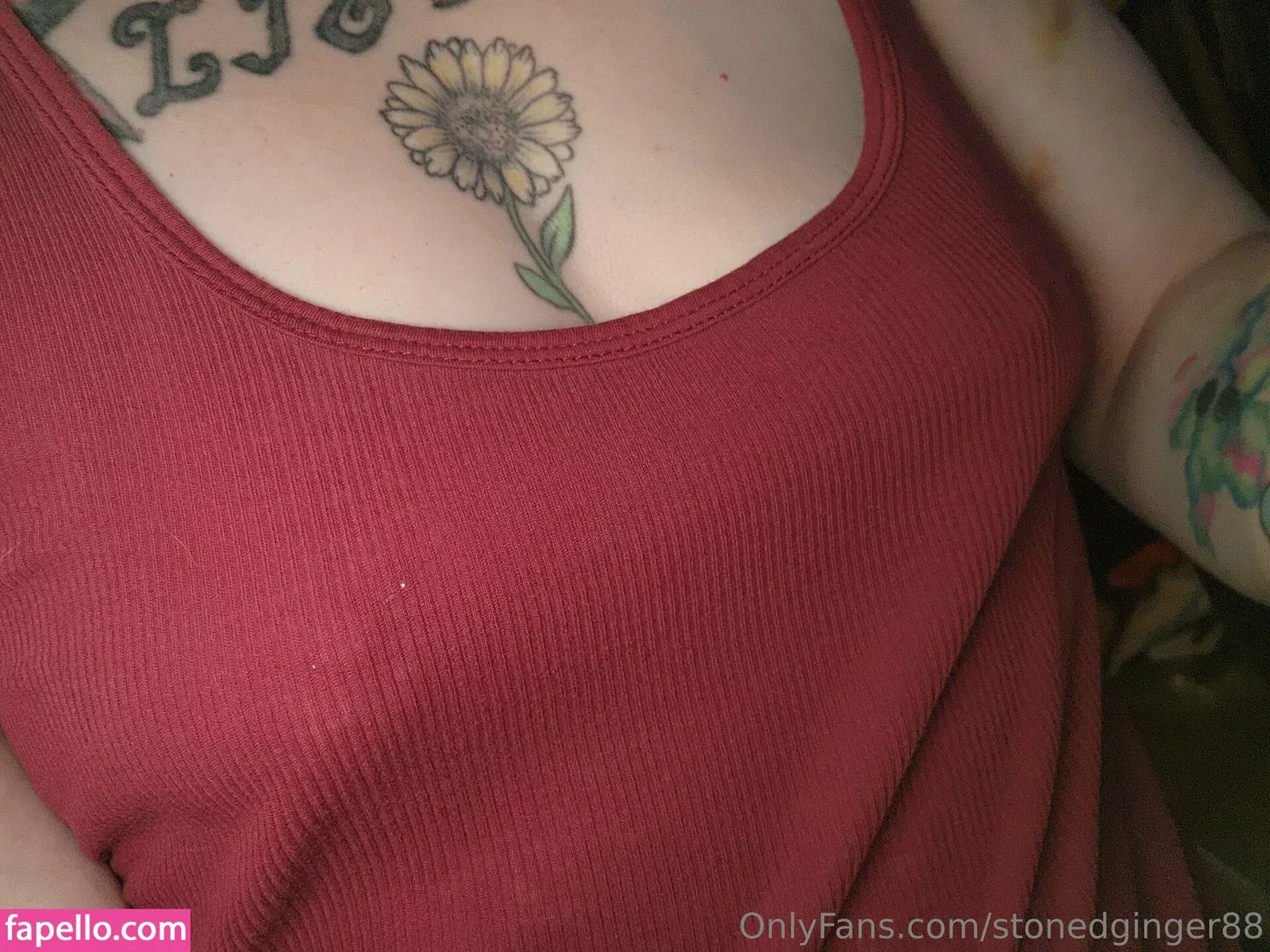 stonedginger88 Onlyfans Photo Gallery 