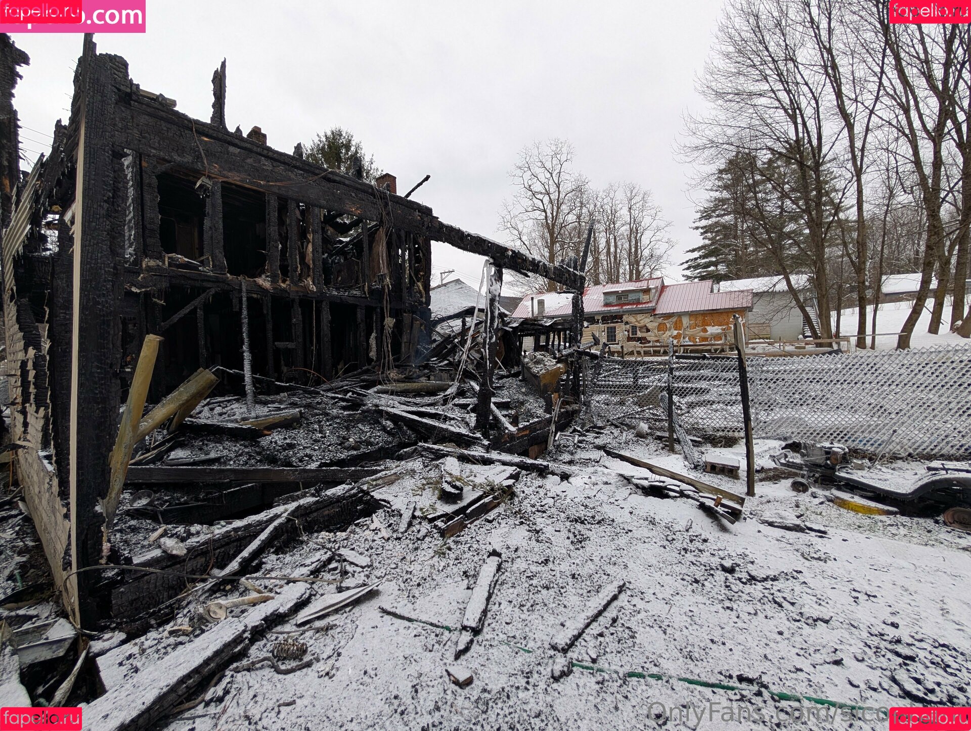 Sicophant Onlyfans Photo Gallery 