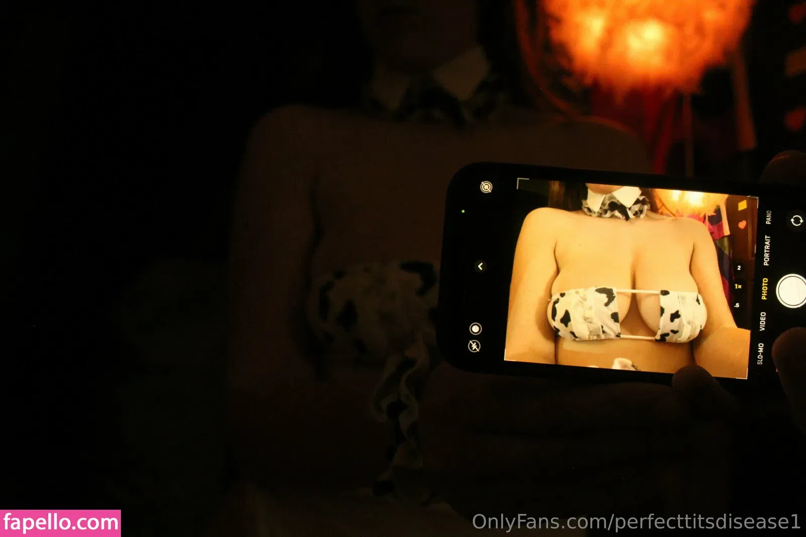 perfecttitsdisease1 Onlyfans Photo Gallery 