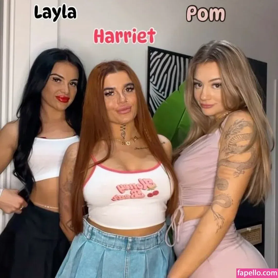 pom_wm Onlyfans Photo Gallery 