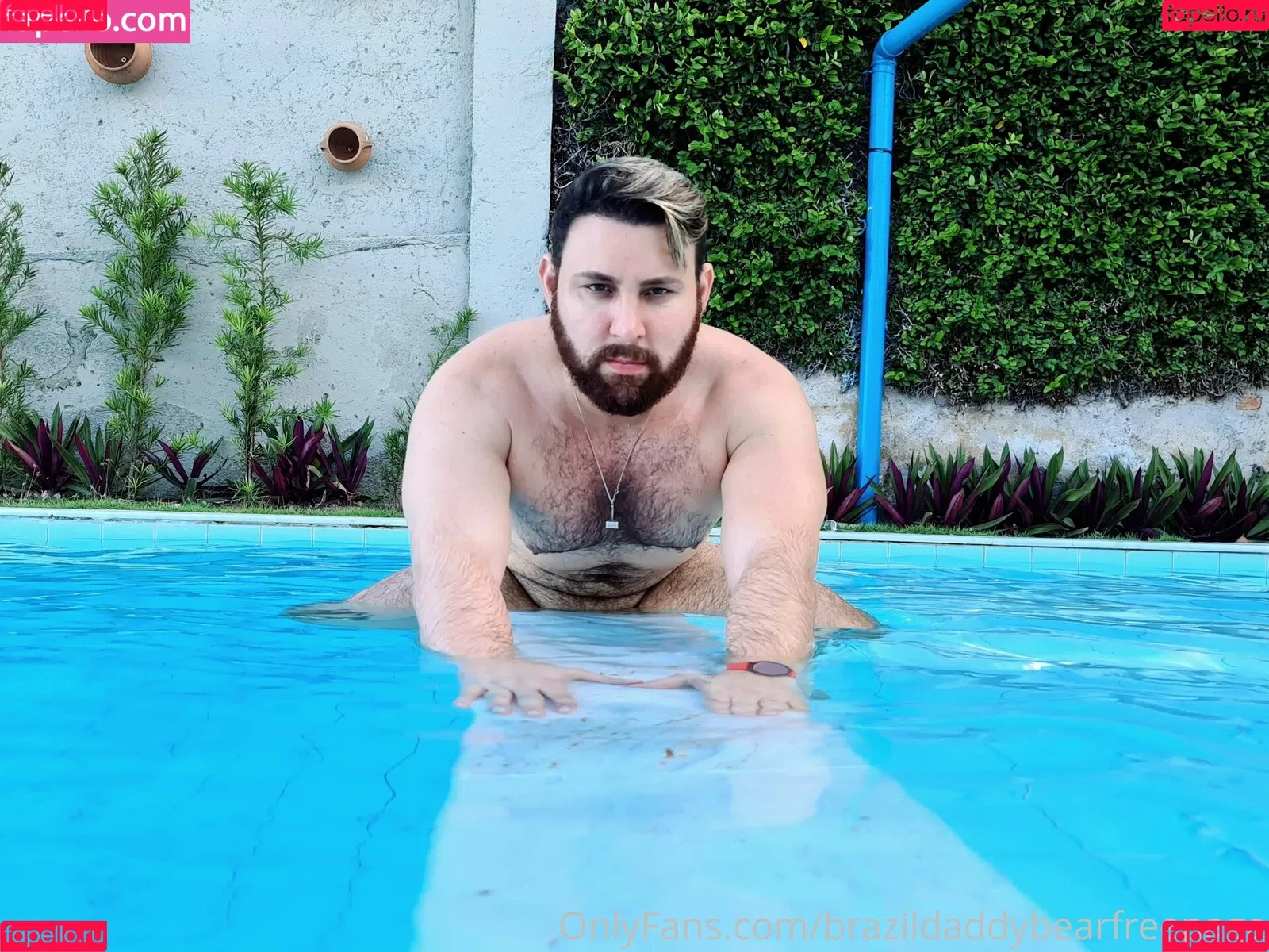 brazildaddybearfreepage Onlyfans Photo Gallery 