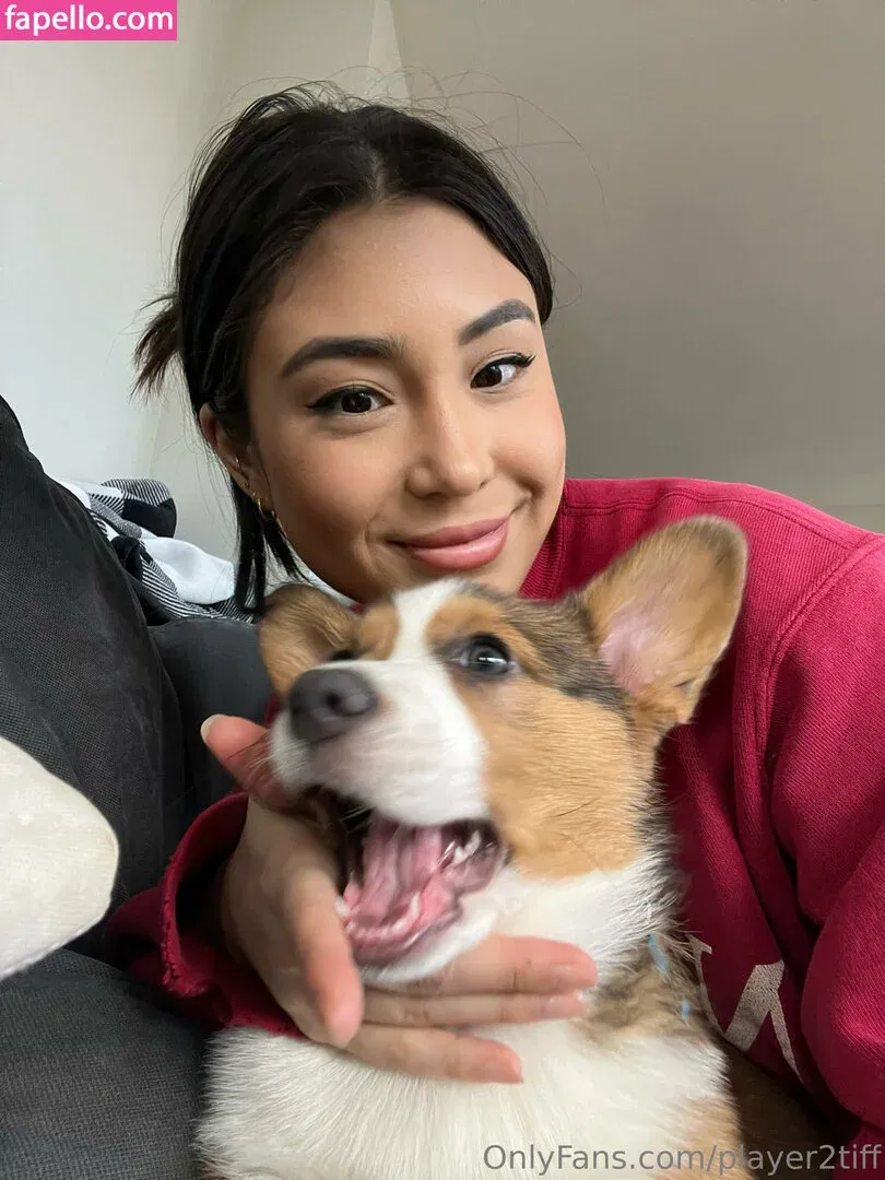 player2tiff Onlyfans Photo Gallery 