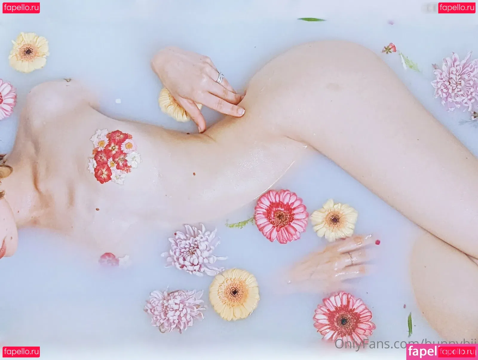 BunnyBii Onlyfans Photo Gallery 