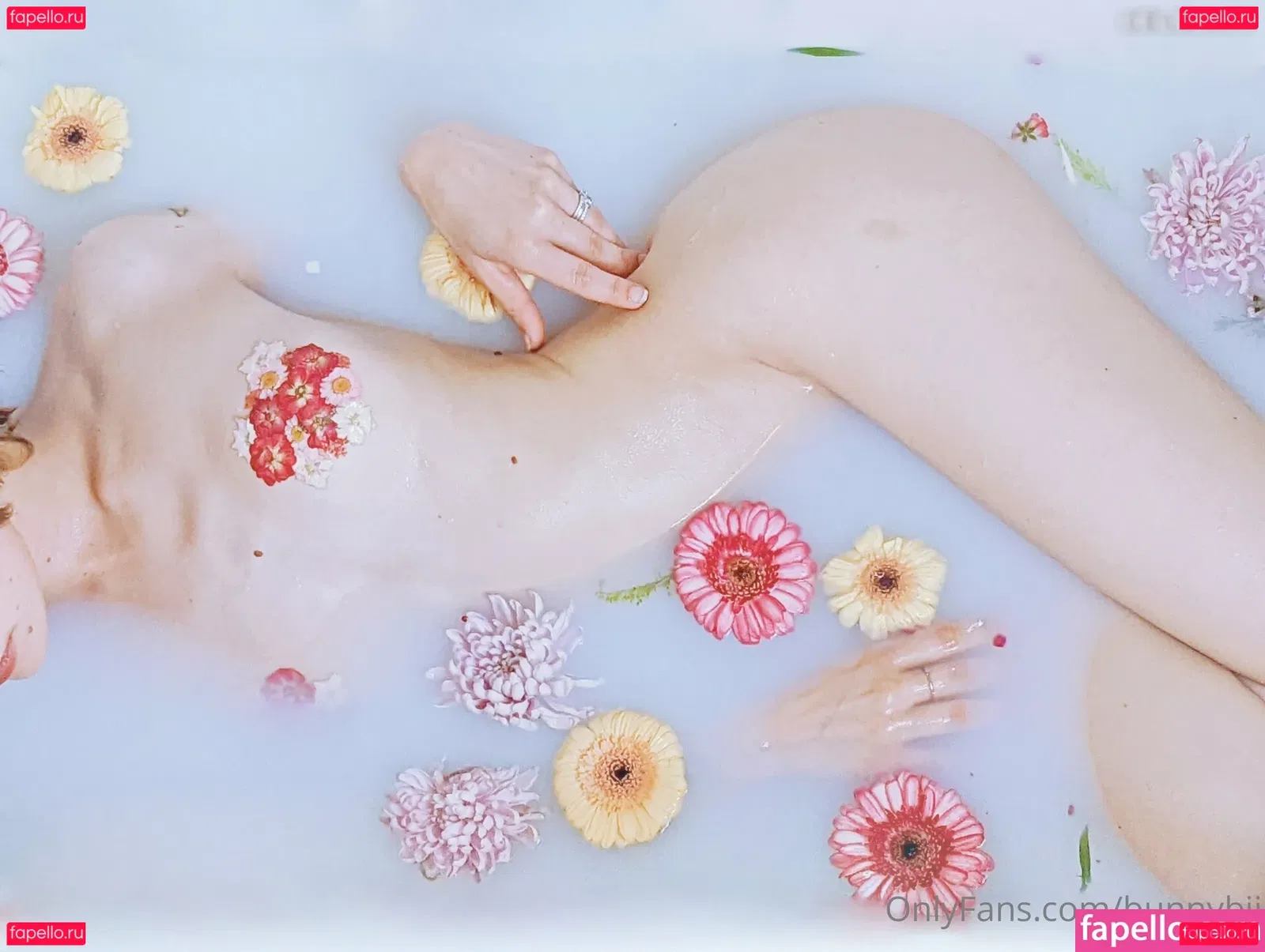 BunnyBii Onlyfans Photo Gallery 