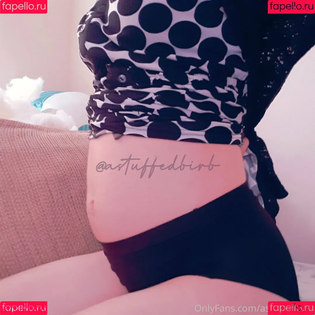 astuffedbirb Onlyfans Photo Gallery 