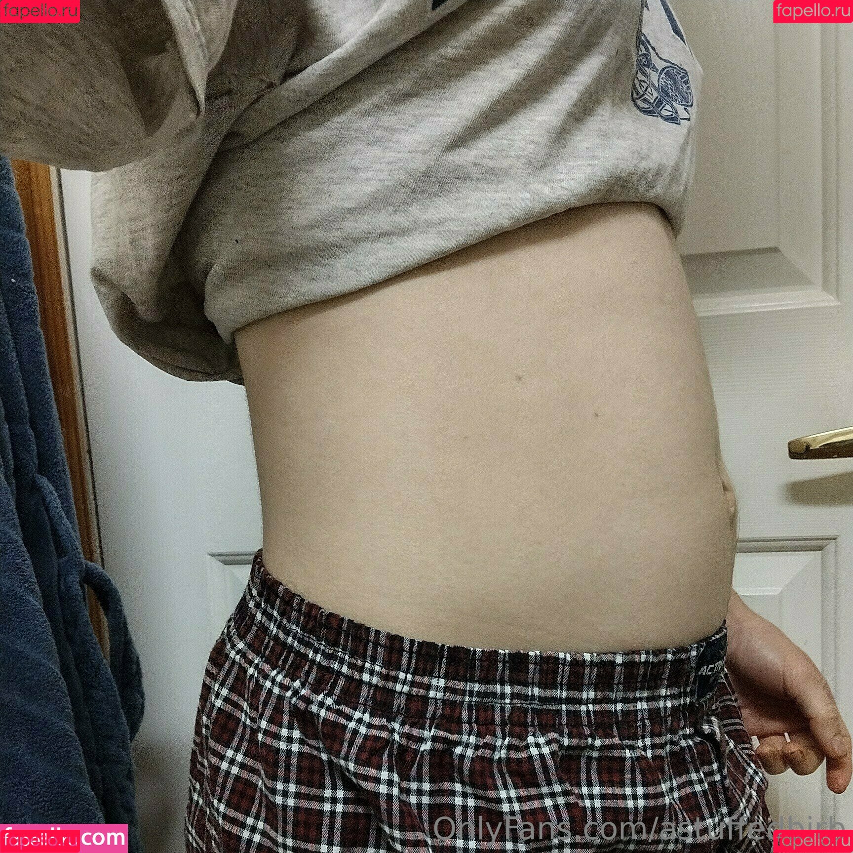 astuffedbirb Onlyfans Photo Gallery 