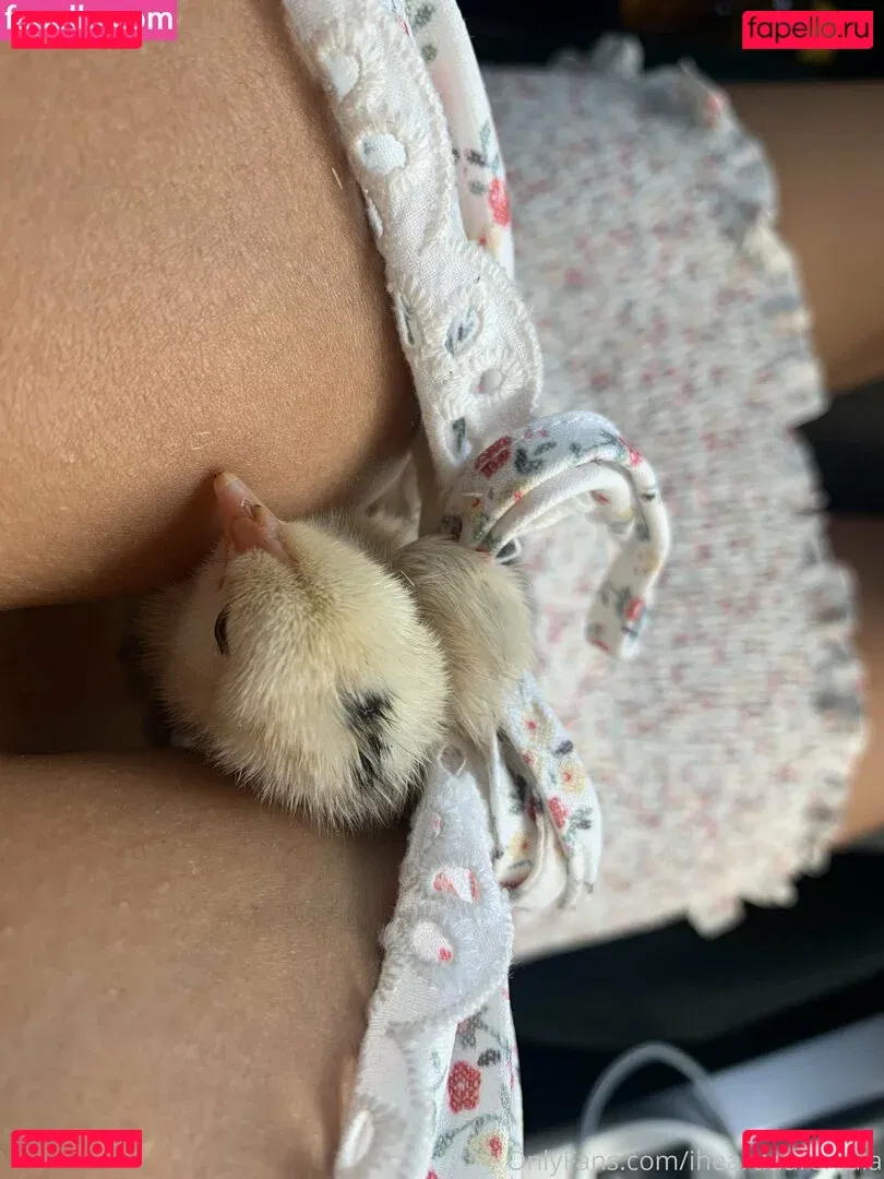 iheartlaurenlala Onlyfans Photo Gallery 