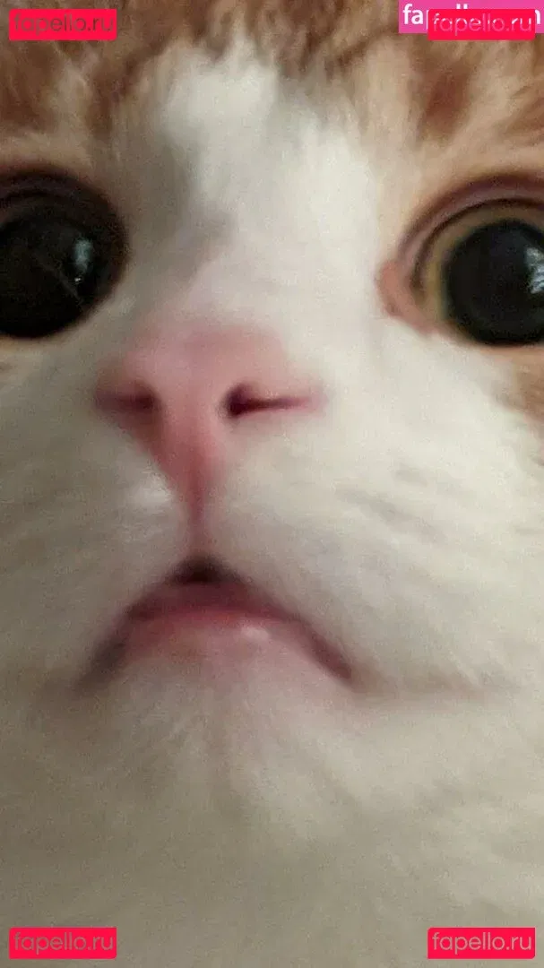 reversetabletopp Onlyfans Photo Gallery 