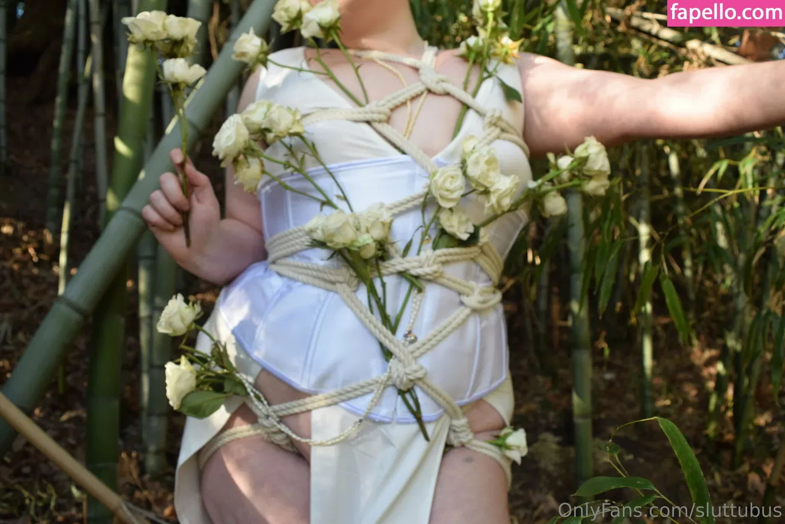 sluttubus Onlyfans Photo Gallery 