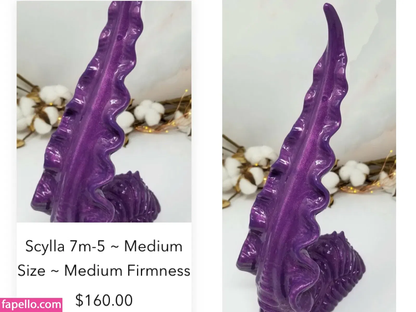 banginbirch Onlyfans Photo Gallery 