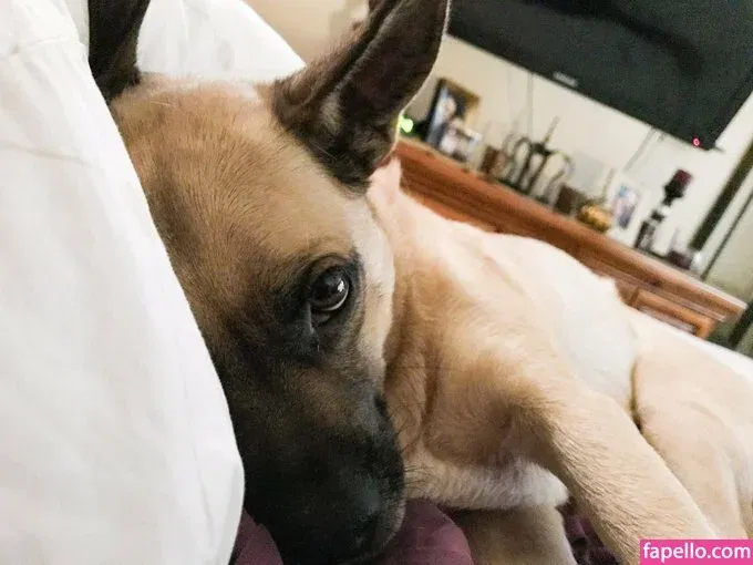 Sophia Scott Onlyfans Photo Gallery 