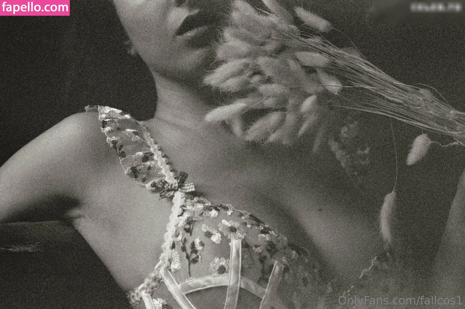 Fallcosplay / fallcos1 Onlyfans Photo Gallery 