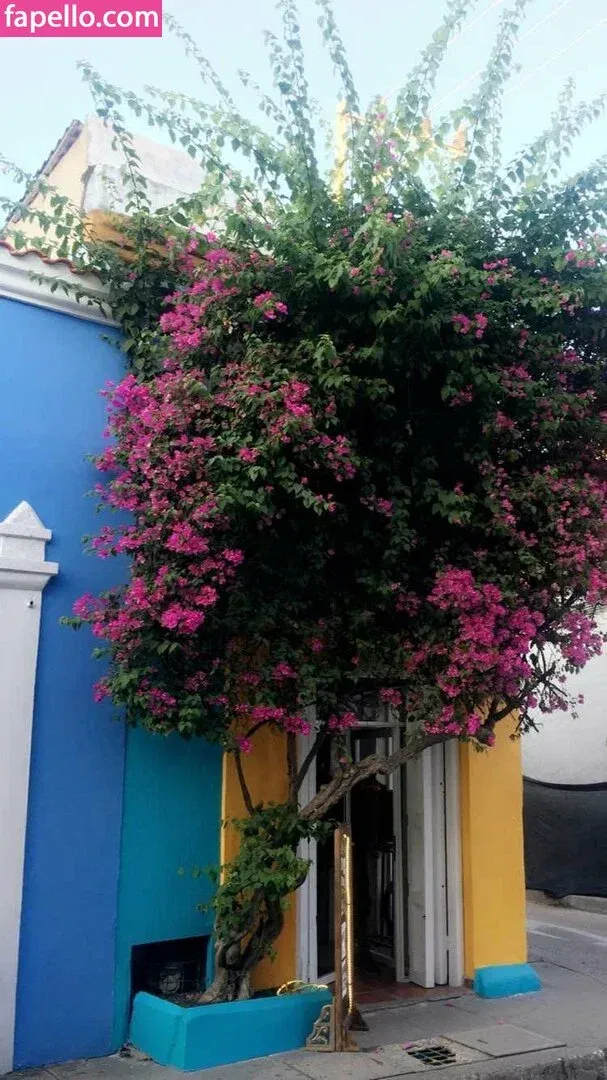 galacticgypsy28 Onlyfans Photo Gallery 