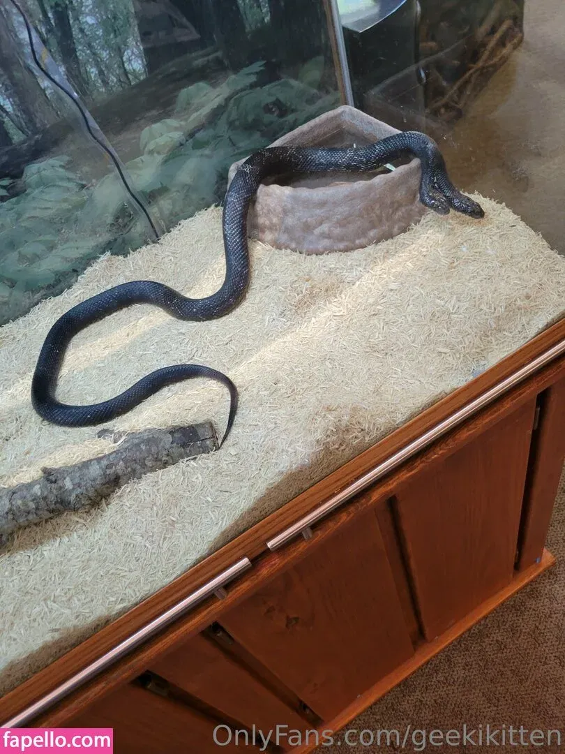 geekikitten Onlyfans Photo Gallery 