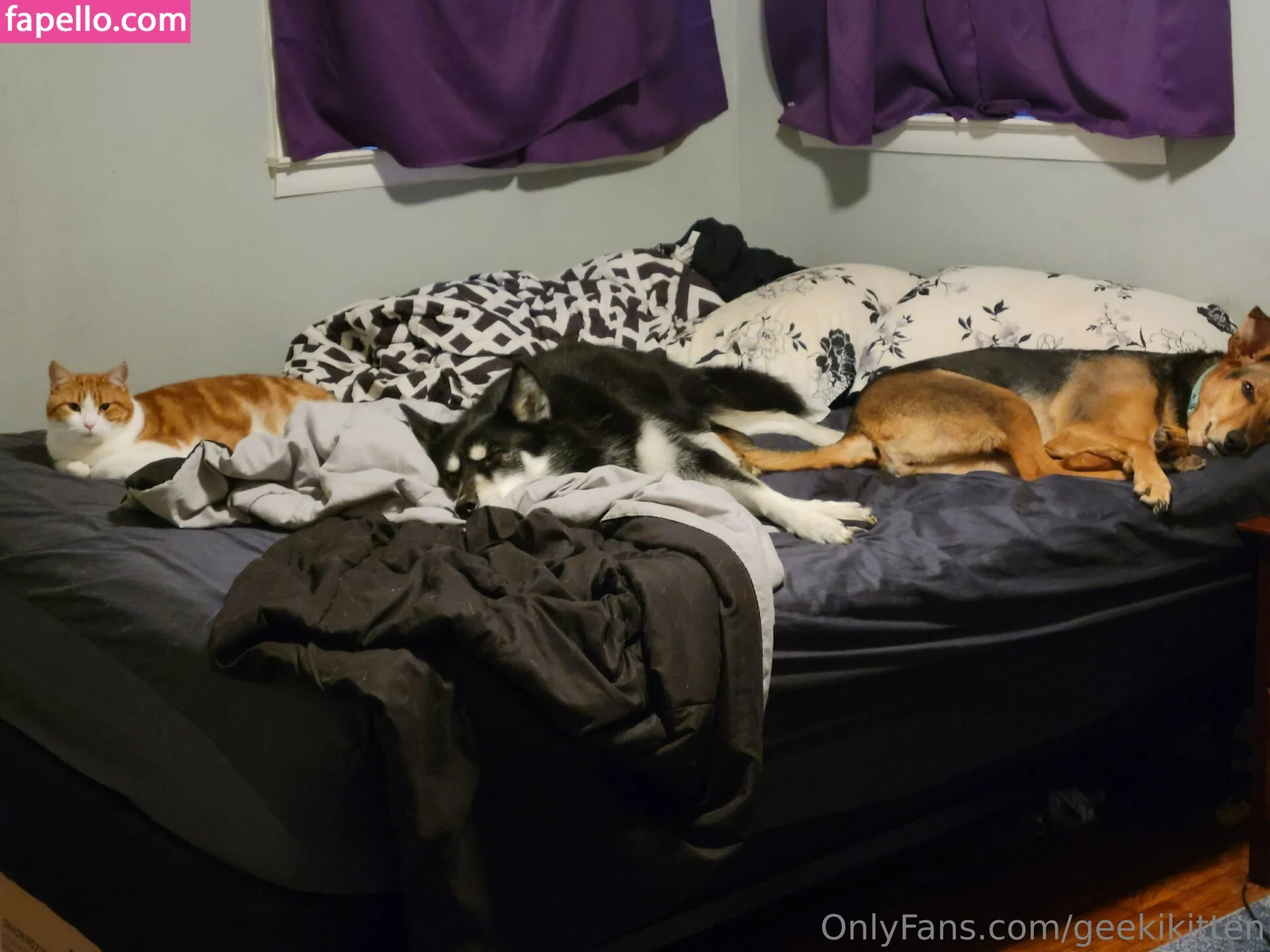 geekikitten Onlyfans Photo Gallery 