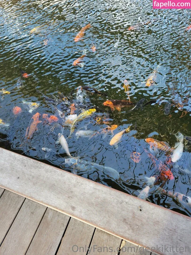 geekikitten Onlyfans Photo Gallery 