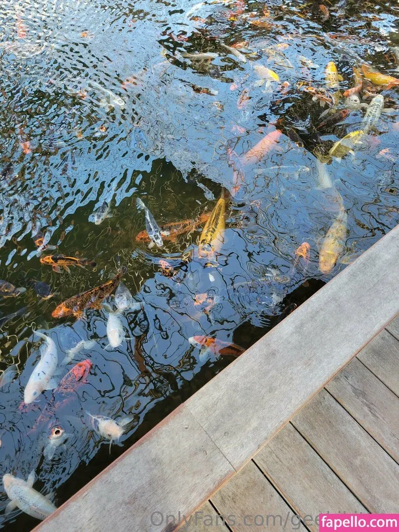 geekikitten Onlyfans Photo Gallery 