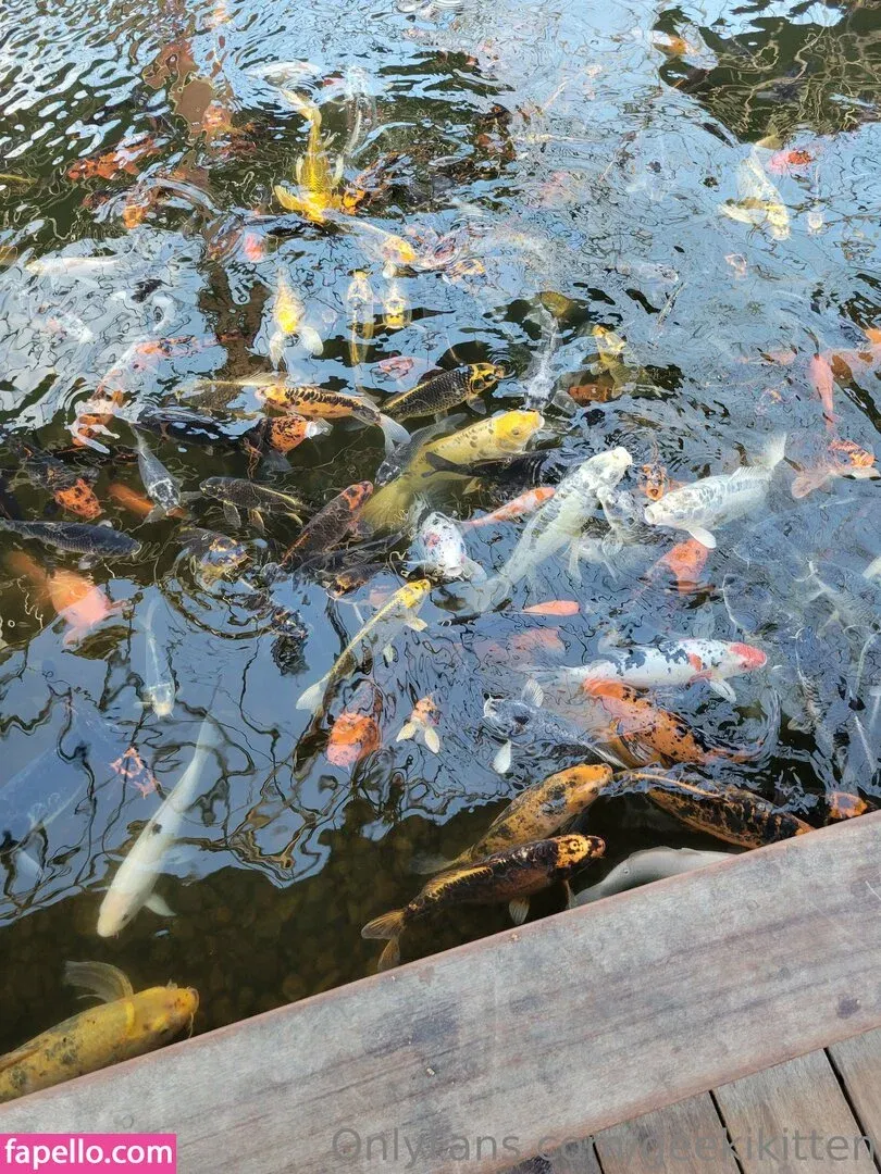 geekikitten Onlyfans Photo Gallery 