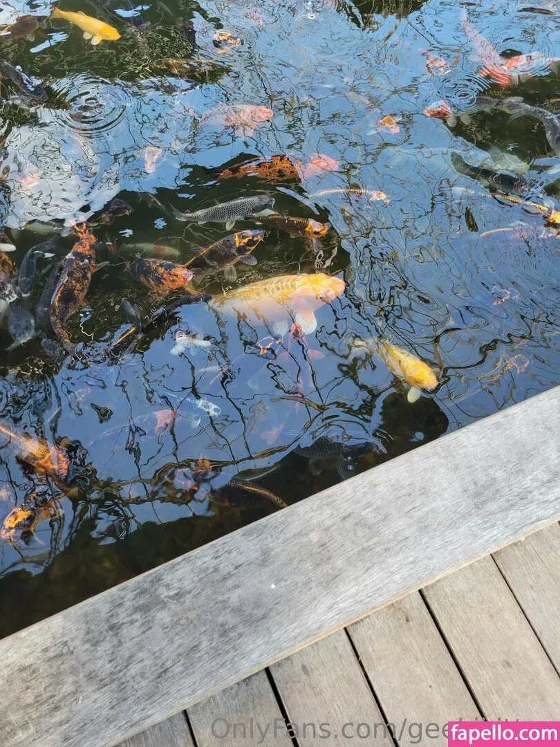 geekikitten Onlyfans Photo Gallery 