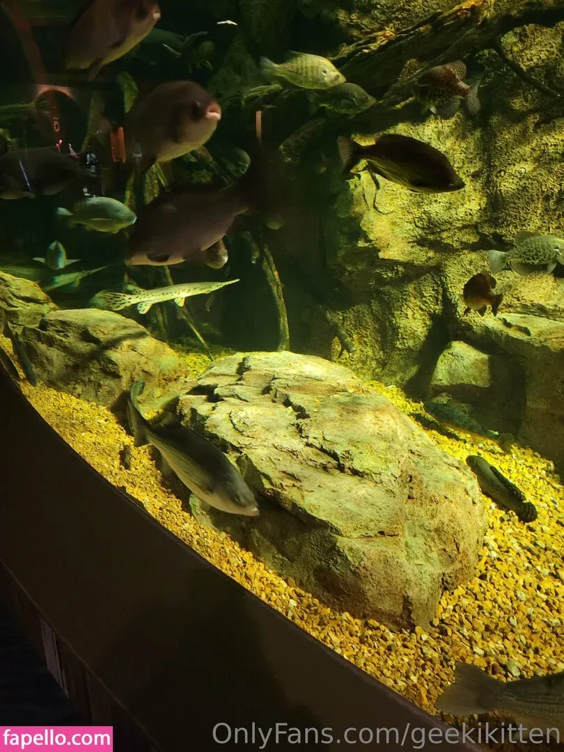 geekikitten Onlyfans Photo Gallery 