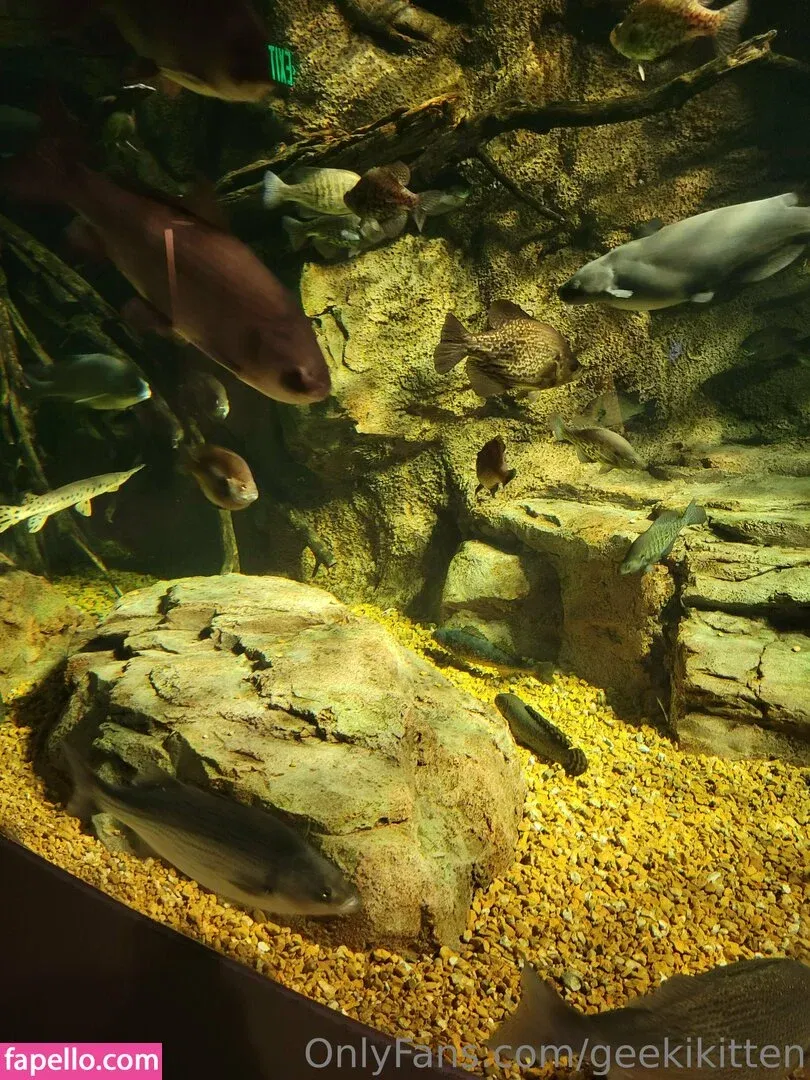 geekikitten Onlyfans Photo Gallery 