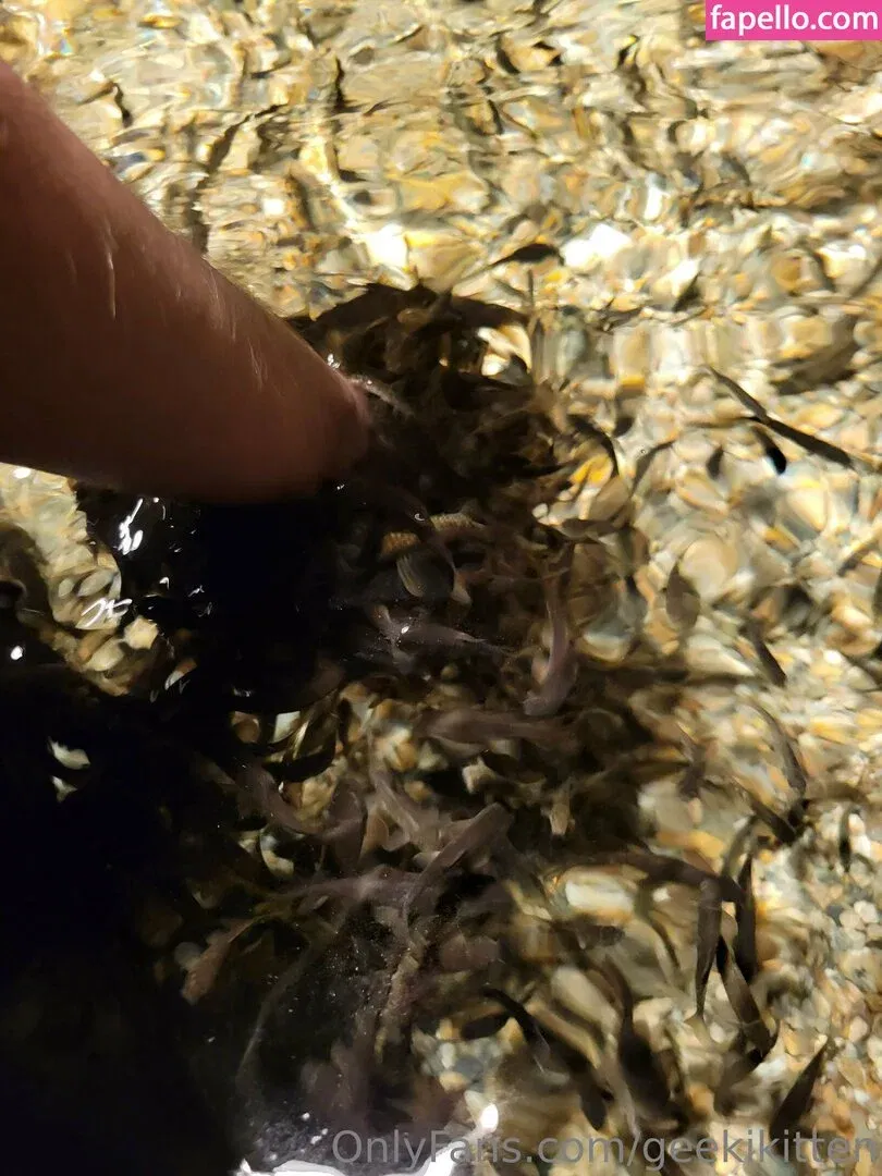 geekikitten Onlyfans Photo Gallery 