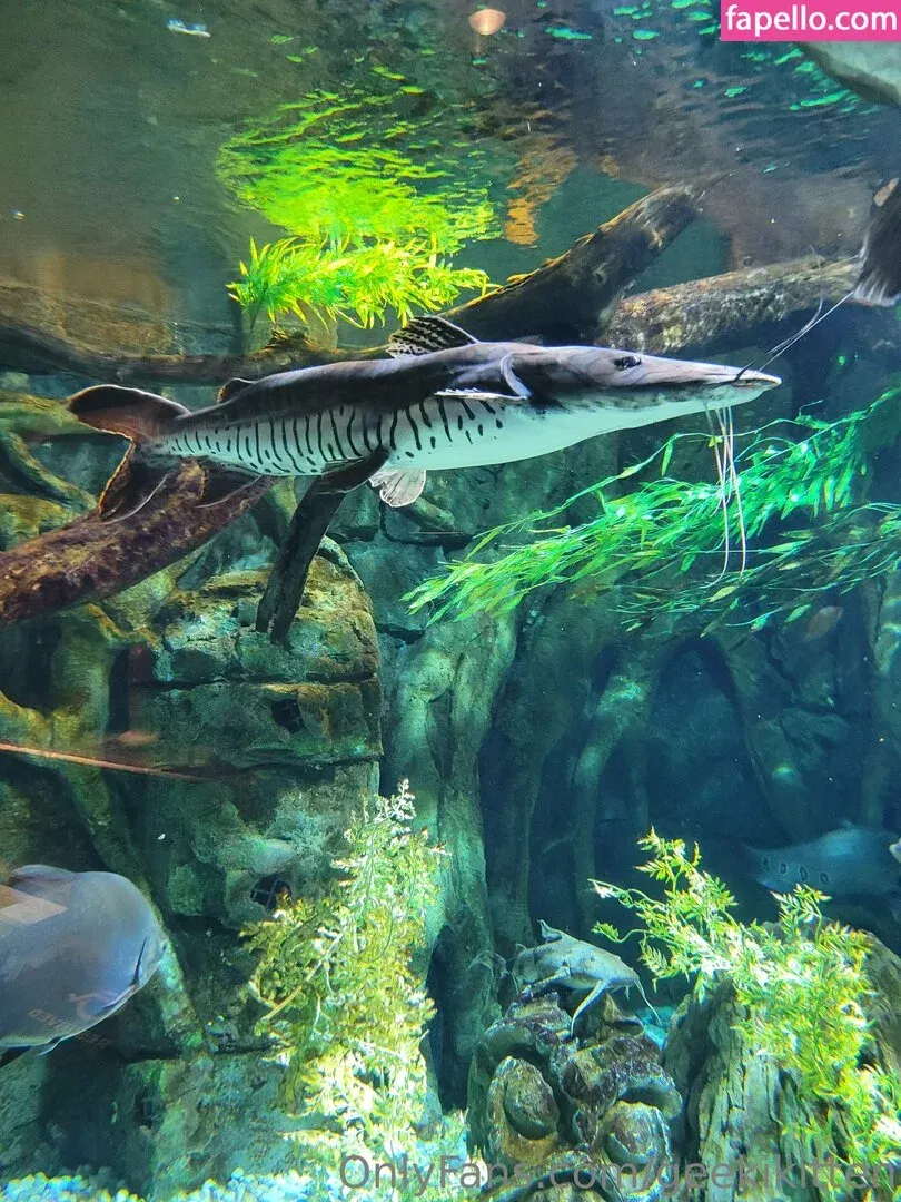 geekikitten Onlyfans Photo Gallery 