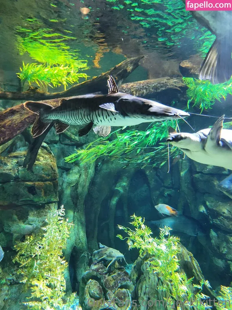 geekikitten Onlyfans Photo Gallery 