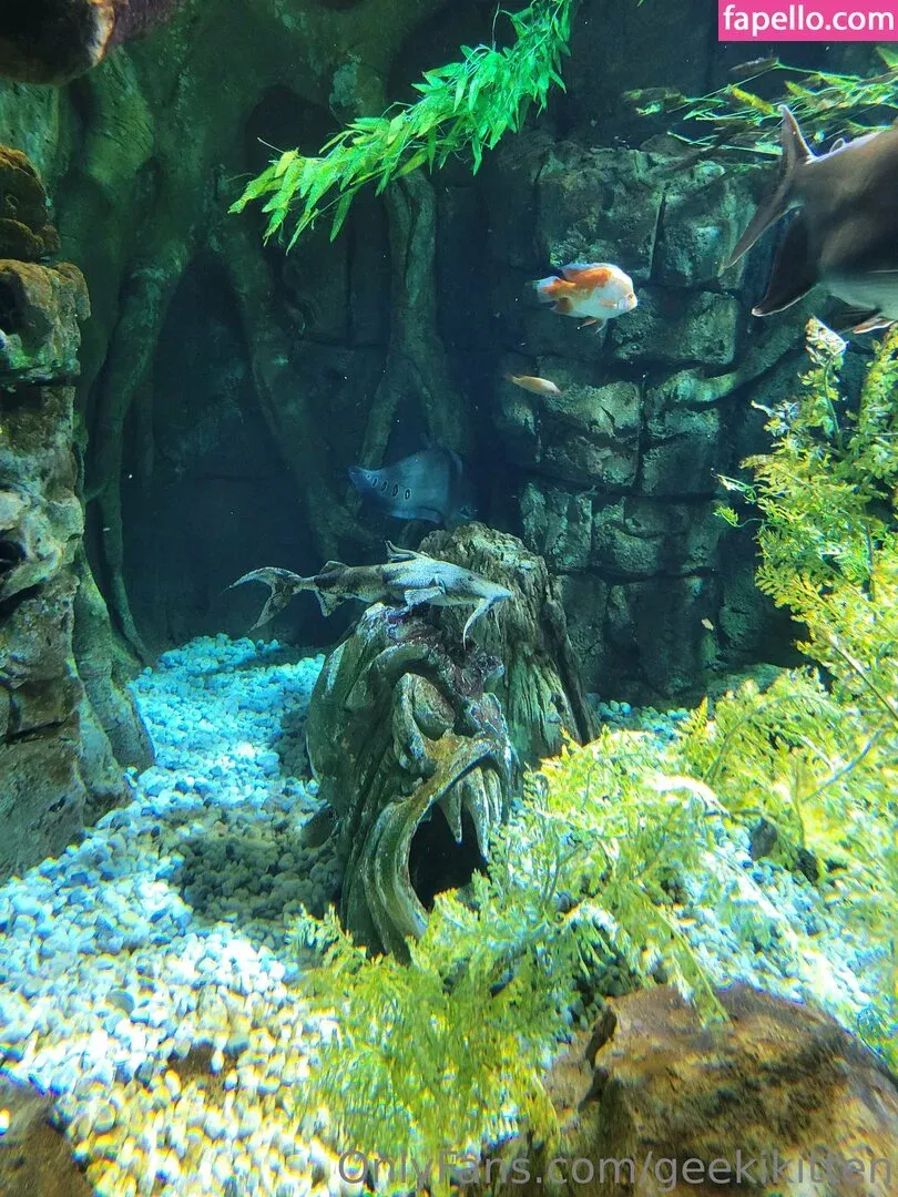 geekikitten Onlyfans Photo Gallery 