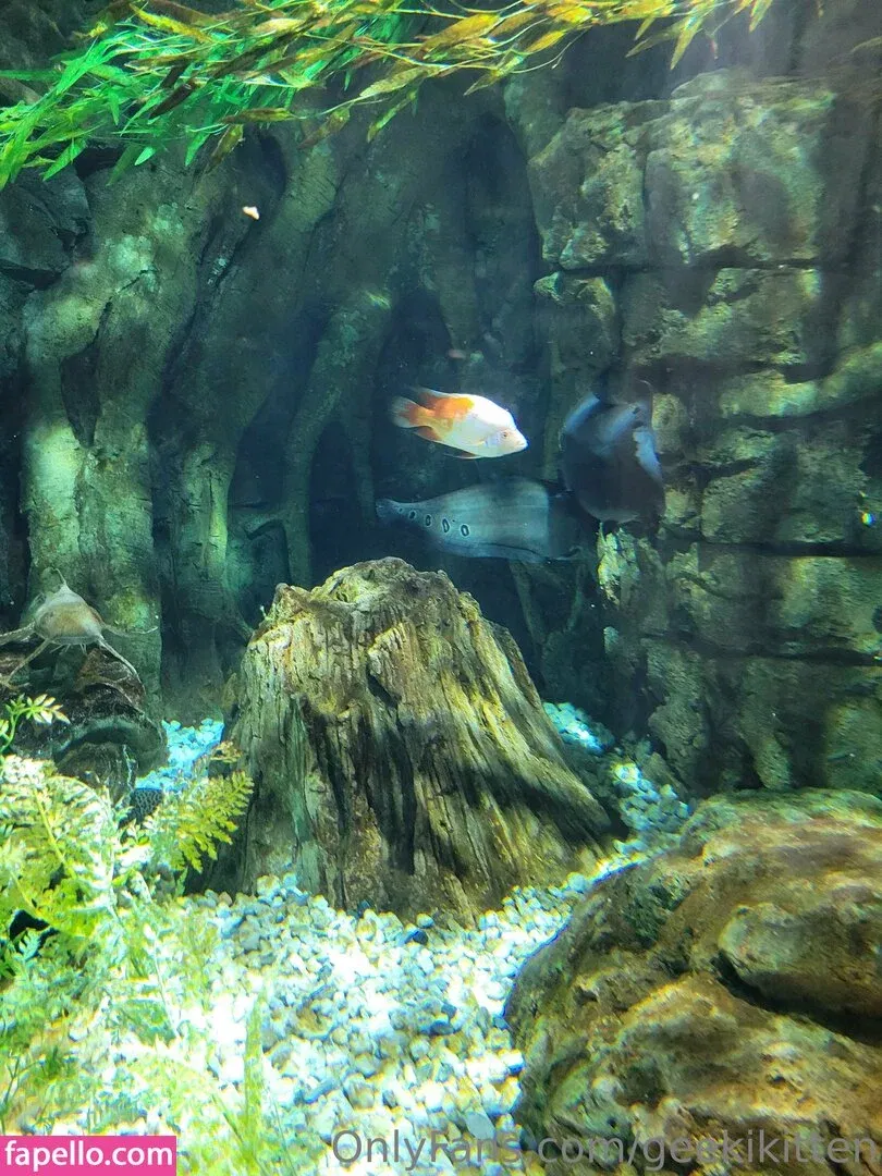 geekikitten Onlyfans Photo Gallery 