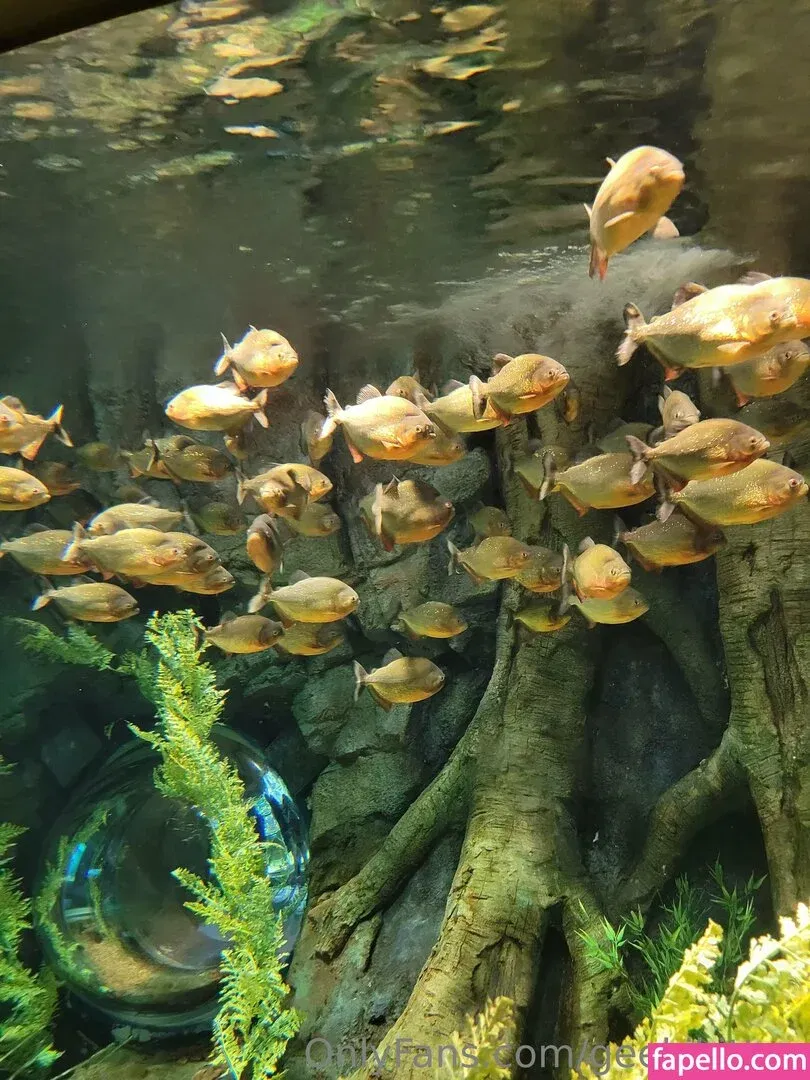 geekikitten Onlyfans Photo Gallery 